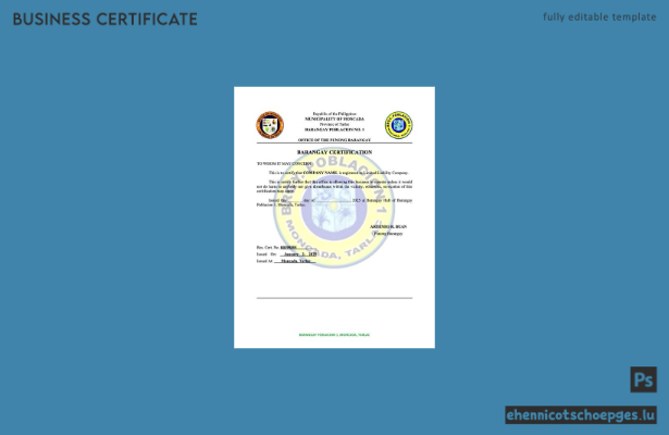 Philippinische Barangay-Registrierungsbescheinigung – Beispielansicht in Word und PDF